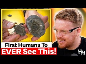 We Cracked Open 180 MILLION Year Old Fossils And Found THIS