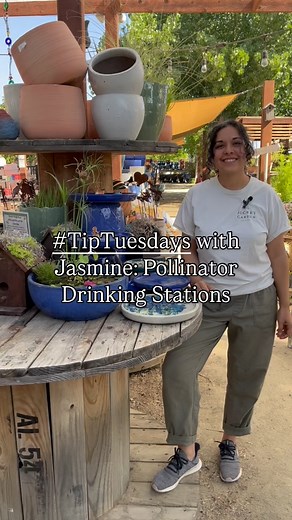 Part 1 of our Summer Garden Tips Series: Make a Pollinator Drinking station 🐝 🦋 This is a great summer activity and a way to help our hard working pollinators during hot weather. | The Secret Garden