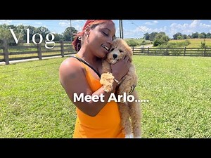 FINALLY GOT MY DOG!!!!