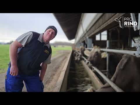 Braunvieh = Traumvieh