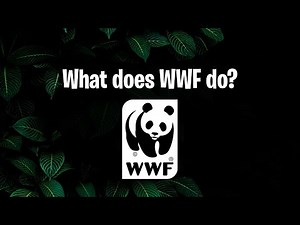 What does WWF do? | #OnePlanet
