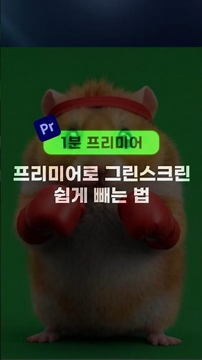 1분 프리미어 | AI영상 배경 바꾸기 #프리미어프로 #배경제거 #영상편집#ai영상