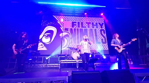 1.3K views · 29 reactions | Another One Bites the Dust, performed by Filthy Animals Band at Distillery Road Market | Tony Kerr | Facebook