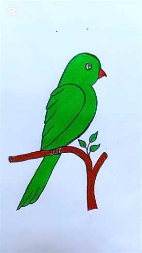 Easy Parrot Drawing 🦜 | Simple Step by Step #shorts