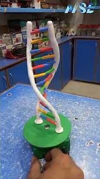 How to Make DNA Rotating Model