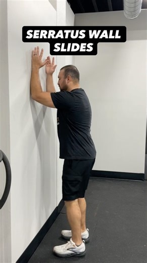 Serratus Wall Slides | Scapular Control & Shoulder Stability