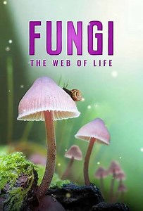 Fungi: The Web of Life (2023) - Movie