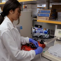 Video: Multi-Stream Perfusion Bioreactor Integrated with Outlet Fractionation for Dynamic Cell Culture