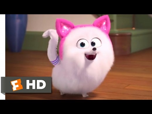 Secret Life Of Pets - Cat Lessons Scene