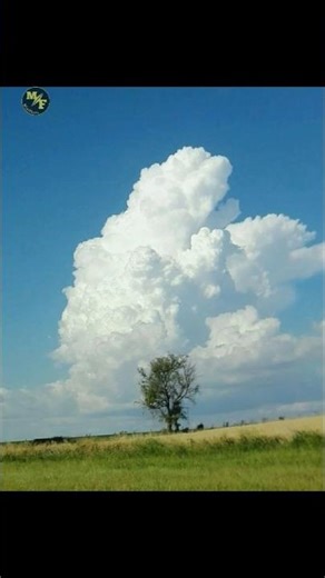 Do Clouds Have Weight? 😲🤔