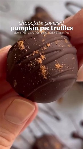 Chocolate-Covered Pumpkin Pie Truffles! These pumpkin truffles are the perfect no-bake, no-fuss fall dessert for when your sweet tooth strikes. As always, they’re gluten-free, dairy-free, and refined sugar-free! Truffle Mixture: ½ cup coconut flour ⅓ cup pure pumpkin purée ⅓ cup raw honey or pure maple syrup ¼ cup nut or seed butter (almond or cashew butter are my favorites) 1 tsp pumpkin spice ½ tsp pure vanilla extract ¼ tsp pink Himalayan salt Chocolate Coating: 3 oz (about ½ cup) dark or sem