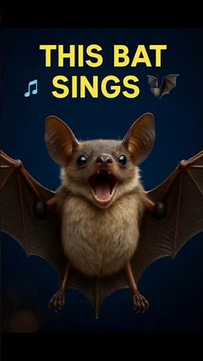 This bat sings like a bird. 🎶🦇