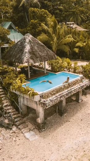 Save for your Fiji trip 🔁 @savasiisland #savusavuadventures #savusavuvacation #thisissavusavu | Visit Savusavu, Fiji