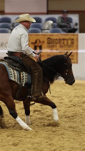 Clinton Anderson Answers: Choosing a Great Trainer