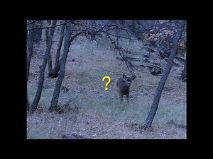 ✦ free ambient + sad + sign crushes motorist type beat "your ghost lays beside me at night"