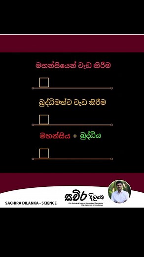 Educational Insights: Science DB Visual Presentation