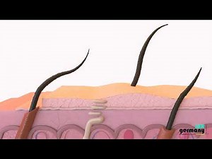 Hautverjüngung und dauerhafte Haarentfernung mit SHR M26 von SHR Germany