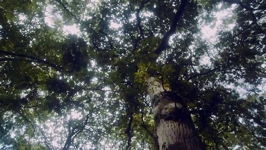 How It Feels | movie | 2016 | Official Clip