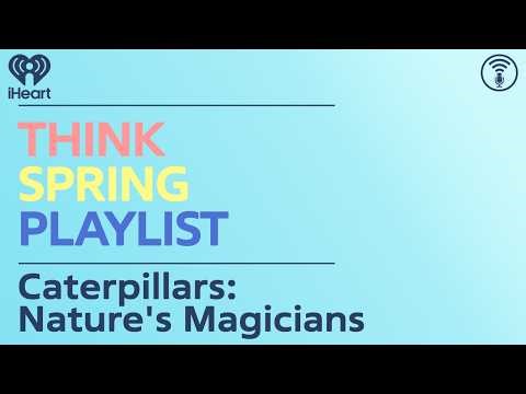Caterpillars: Nature's Magicians | STUFF YOU SHOULD KNOW