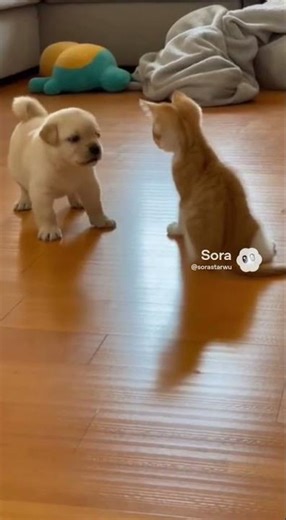 Fighting… and Slipping Everywhere 😂