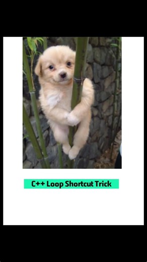 C++ Infinite Loop Trick | C++ Shortcut for Loops