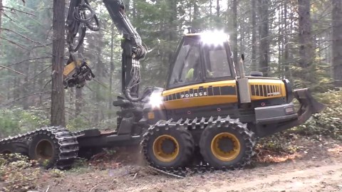 Unmatched Harvesting Excellence and Versatility