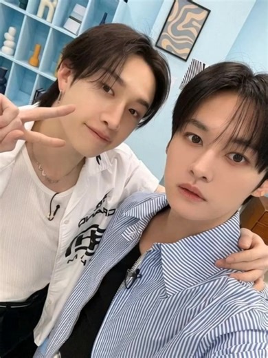 Ayuda que hice para Stray Kids