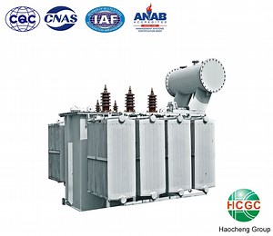 [Hot Item] S9 Oil Type Immersed Power Transformer of 38.5kv 35kv Step Down Transformer
