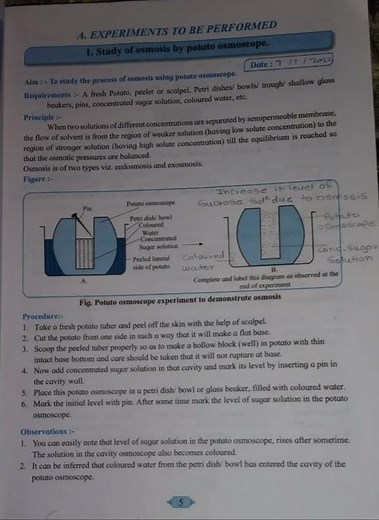 #Class 12 #🔬Biology practical #Experiment no.1 study of osmosis by potato osmoscope🔬