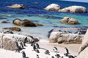 ★ 9 Prachtige retraites in Zuid-Afrika ★  - Reistips