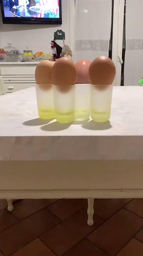 Unprepared Foodie Adventure: A TikTok Tale