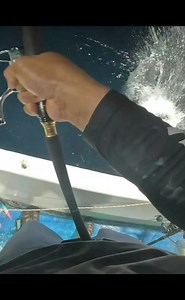 233K views · 4.3K reactions | arus mati menggunakan metal jig 60 gram kedalaman laut 110 meter umpan turun di 80 meter... kira2 dikedalaman berapa ikan menyambar??? tackle by. DAIWA Indonesia rod daiwa saltiga LJ62XXHS TG reel daiwa certate lt 4000d-cxh pe 2 daiwa durasensor leader tridentech acullon 30lb #feelalive #breakyourrecord #fishing #mancing #castjig #hljig #lautmanado #dogtoothtuna #hantulautfishingmanado | Anto Hantu Laut | Facebook