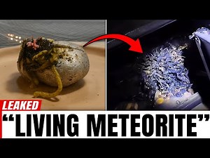 Panama Meteorite Is Growing Tentacles — Is It Alien?