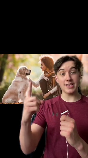 5 surprising facts about dogs most people do not know