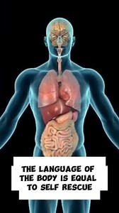 Understand your body system and how it functions | Total Real Health