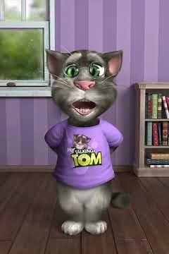 TalkingTom (Progressive Insurance Commercial)