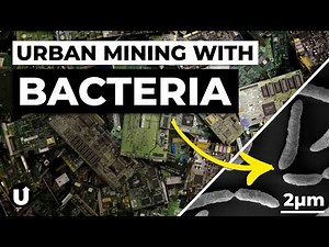 How Bioleaching is Revolutionising Electronics Recycling