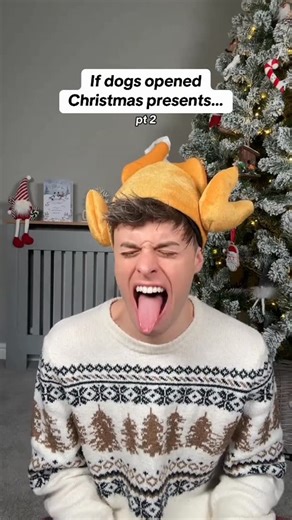 Joe Tasker on Instagram: "Dogs at Christmas…again 😏"