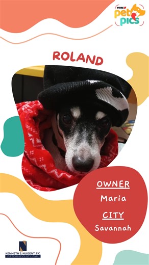 This week's WTOC Pet Pic is Roland! Submit your pet for a chance to be featured on The News at Daybreak! https://www.wtoc.com/page/pet-pics/ | WTOC-TV