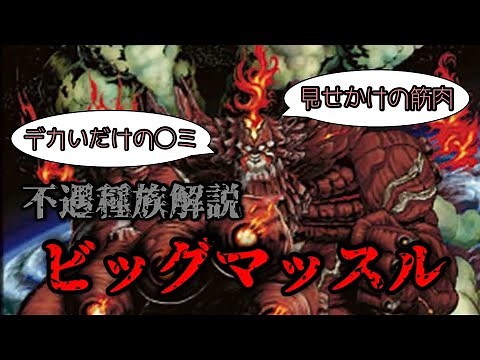 【デュエマ】不遇種族解説 vol.4～ビッグマッスル～【ゆっくり解説】