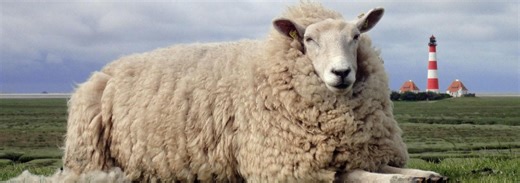 Animals That Changed History (2022)