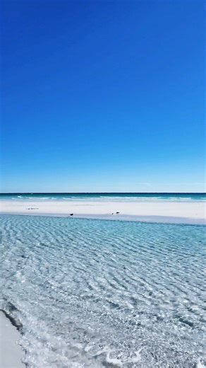 117K views · 6.4K reactions | Crystal clear Gulf waters and tide pool on Pensacola Beach ️ #emeraldcoast | All Things Emerald Coast | Facebook