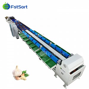 [Hot Item] Industrial Garlic Machine Garlic Grading Machine Vegetable Processing Plant Tomato Grader