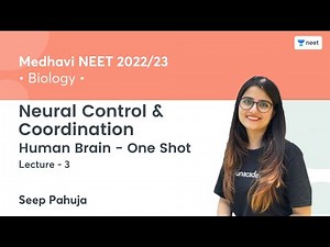 Neural Control & Coordination | Brain - One Shot | L3 | NEET 2022/23 | Seep Pahuja