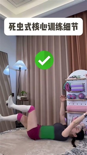 Ultimate Dead Insect Core Workout Guide