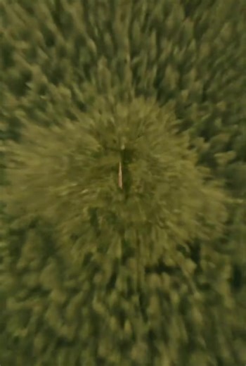 Real Phone Crash Video Compilation