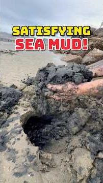 Extremely Satisfying Digging in Sea Mud #nature #satisfying #shorts
