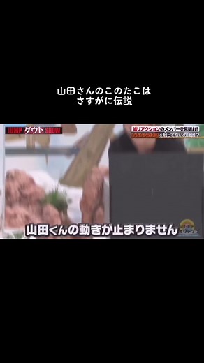 山田涼介はこんなに可愛いんです② ほんとこのたこは見てた時爆笑した！！ バラエティーの神様かってぐらいたこに遊ばれてて可愛すぎた！ 個人的にはこの山田さん優勝です #へいせいじゃんぷ #山田涼介 #いただきハイジャンプ #王様に捧ぐ薬指