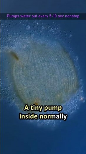 This Cell Has 30 Seconds To Live
