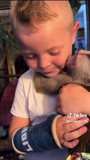 Adopt This Adorable Baby Monkey Today!